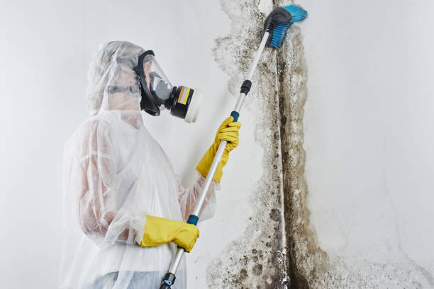 Best HVAC Mold Remediation in Claremont, NH