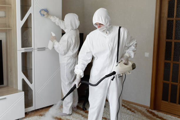 Best White Mold Remediation in Claremont, NH